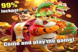playphp game categories including slots, live casino and sports betting for Filipino players